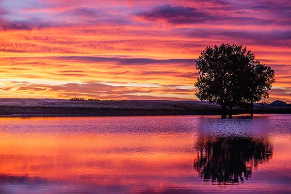 Montana sunset by Todd Klassey 