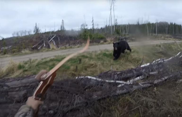 Black bear charges hunter
