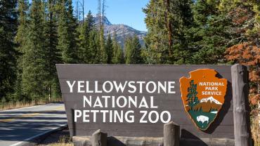 Yellowstone National Petting Zoo