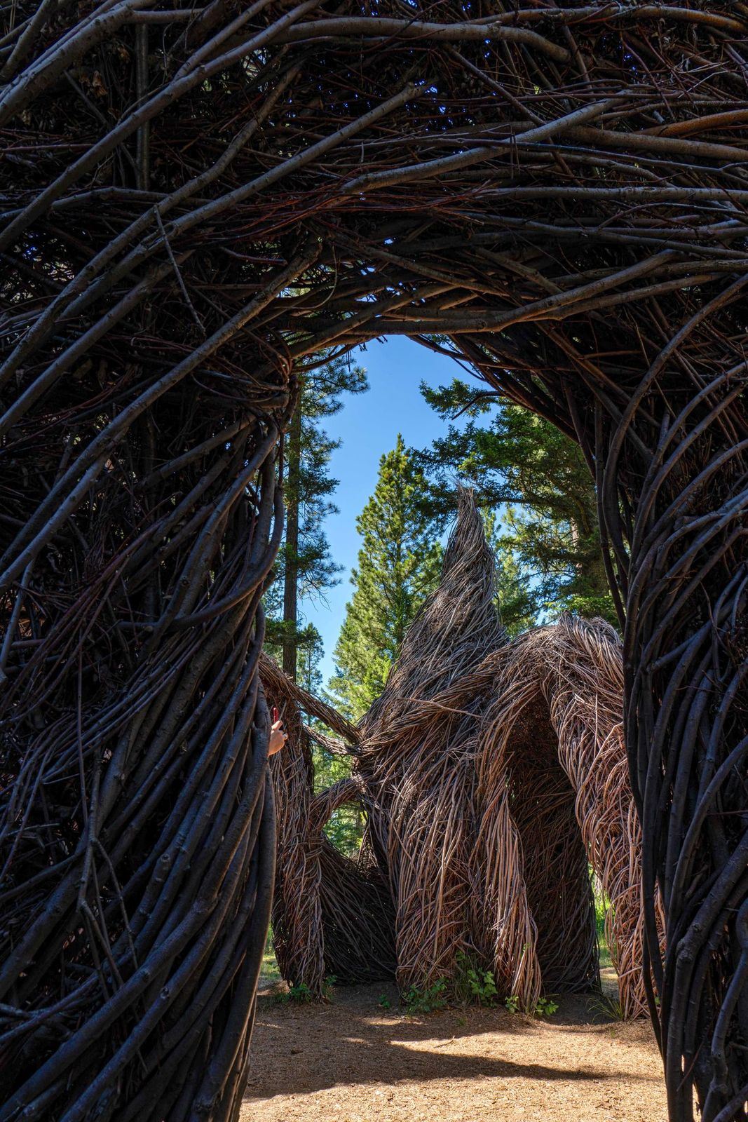 Sculpture in the Wild A Montana “Must See”