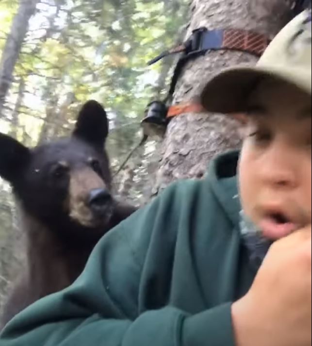 VIDEO Bear Climbs Up Treestand, Hilariously Surprising Hunter