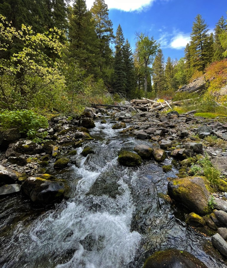 The Elkhorn Mountains’ Majestic Crow Creek Falls