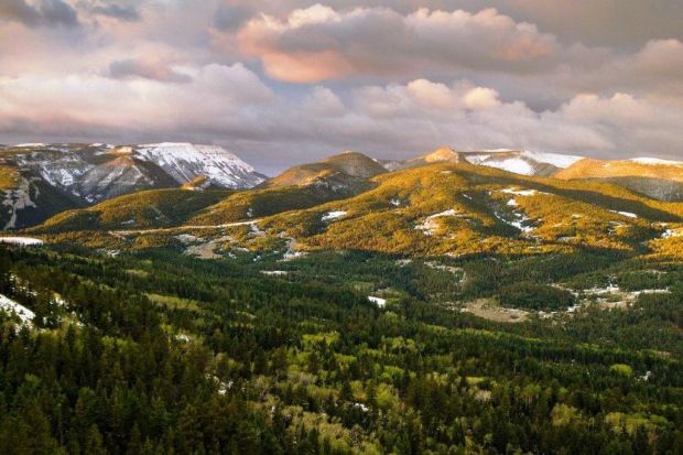 snowy mountains montana