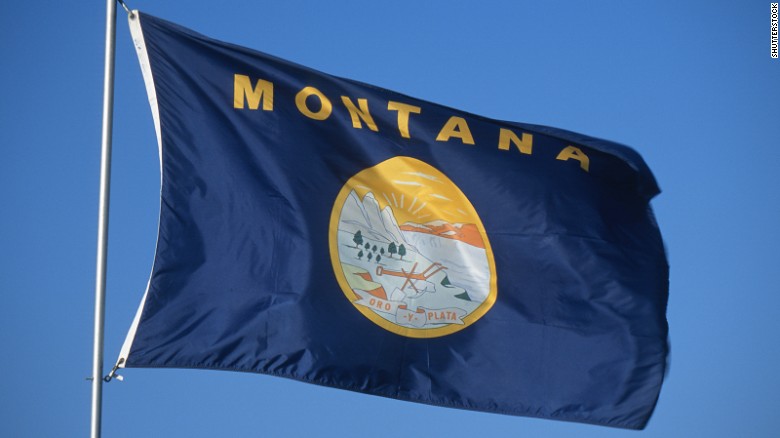 Montana flag