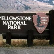 Yellowstone Park