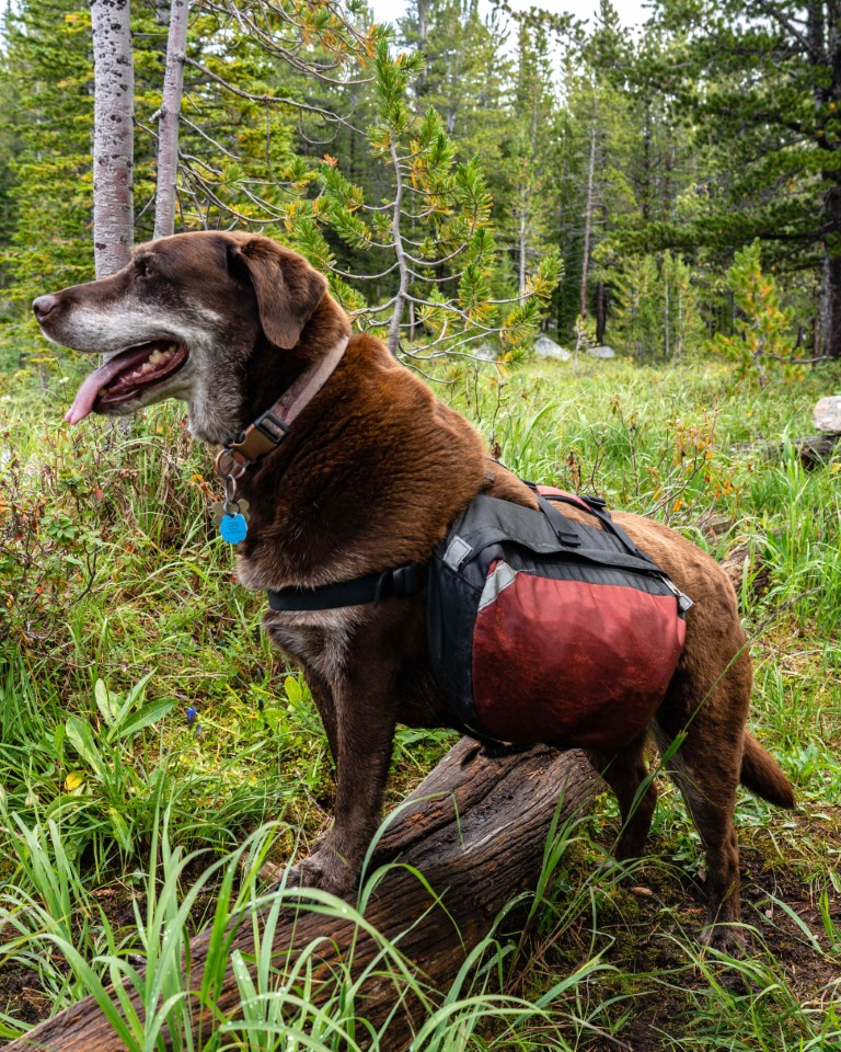 The Anaconda Pintler Wilderness Area