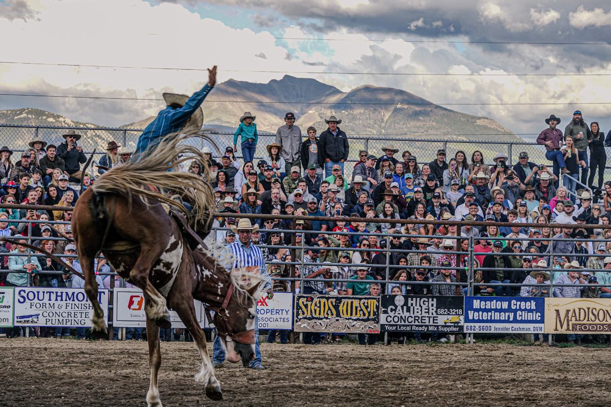 Poetry in Motion: Bronc Riding in Montana