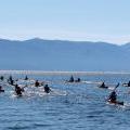 Flathead Lake paddle race