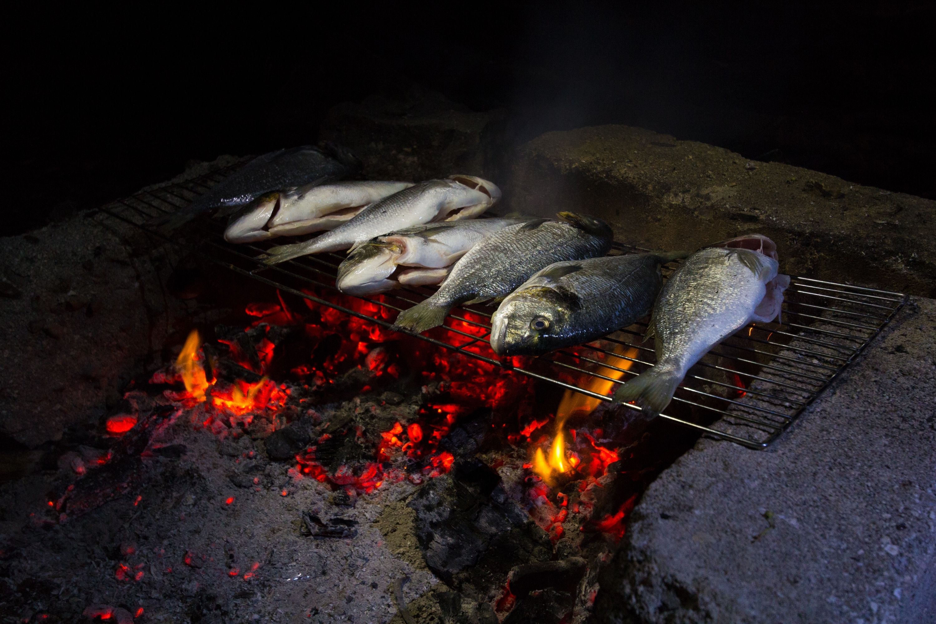 fly fishing at night