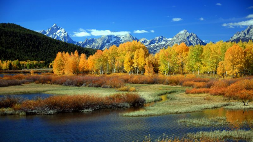 Fall-ing in Love in Montana | Distinctly Montana Magazine