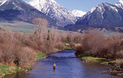 spring creeks fishing montana