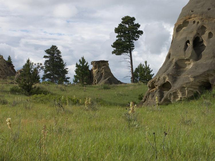 Deer Medicine Rocks Petroglyph 01, The Deer Medicine Rocks …