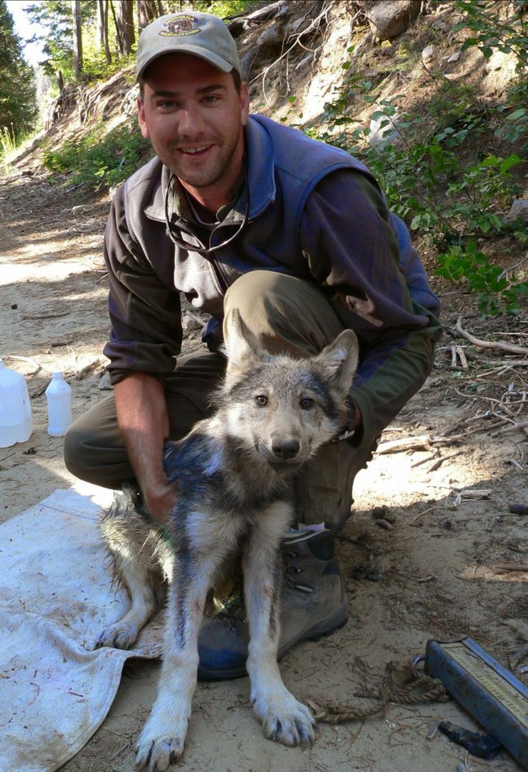 Ty With a Wolf Pup