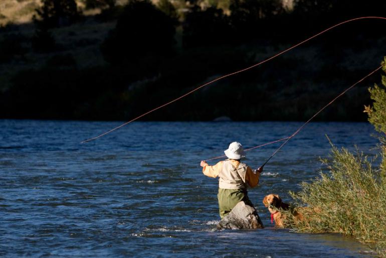 Learn How to Fly-fish in One Day