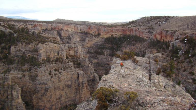 Pryor Mountains Crooked Creek