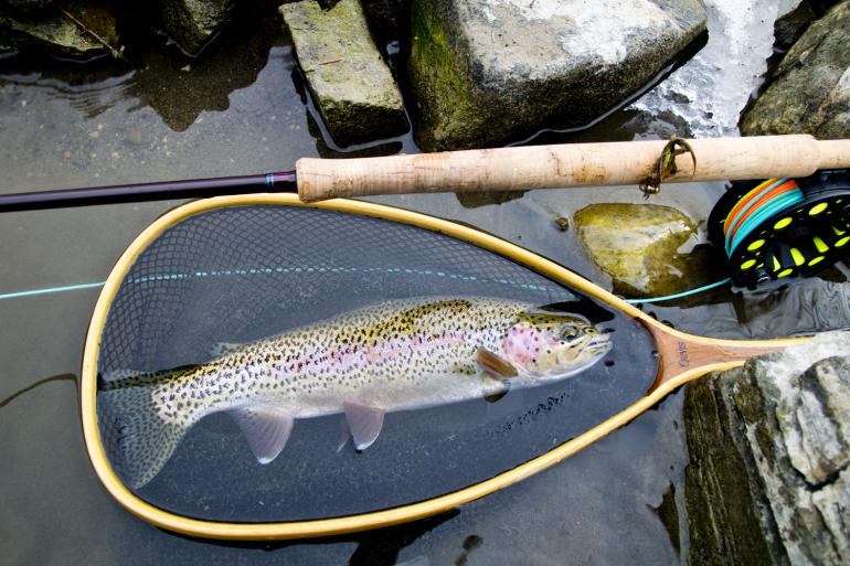 Winter Fly Fishing in Montana