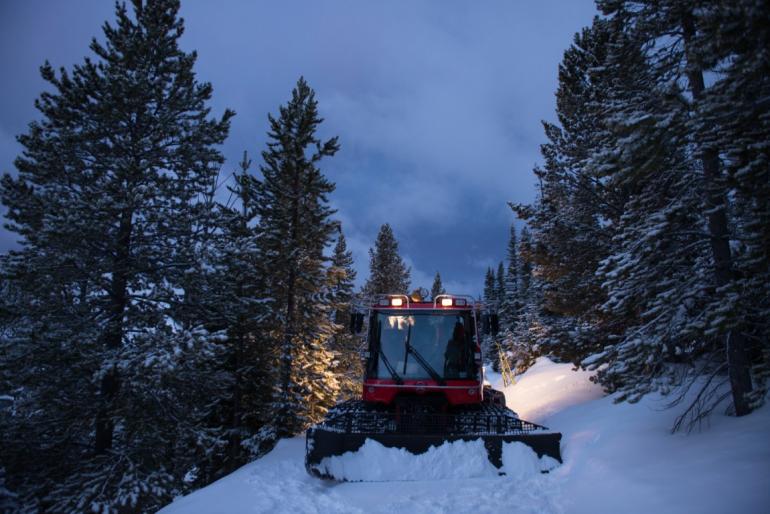 Night grooming