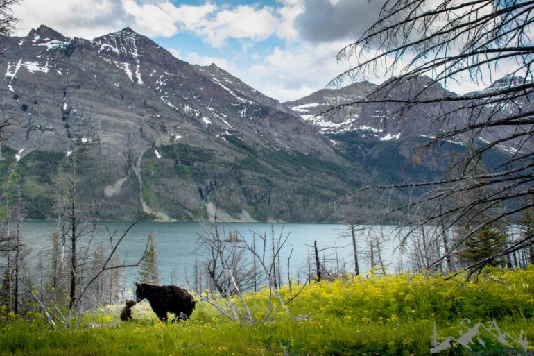 Glacier NP