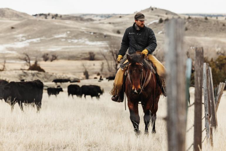 Regenerating Montana The Tangen Draw Mission from Pasture to Plate