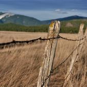 Fence Post