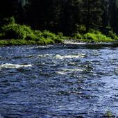 Blackfoot River