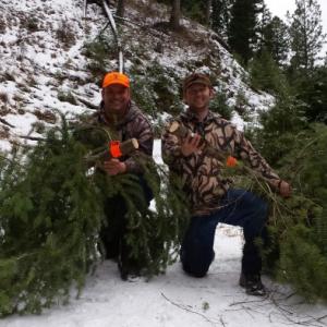 Christmas tree hunting