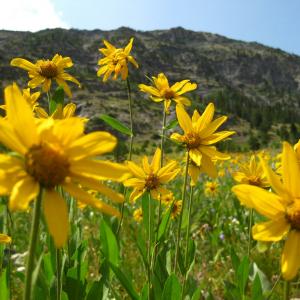 family fun in Montana